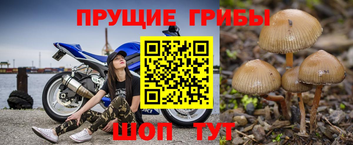 Псилоцибиновые грибы Psilocybine cubensis  Вход с VPN  Рассказово 