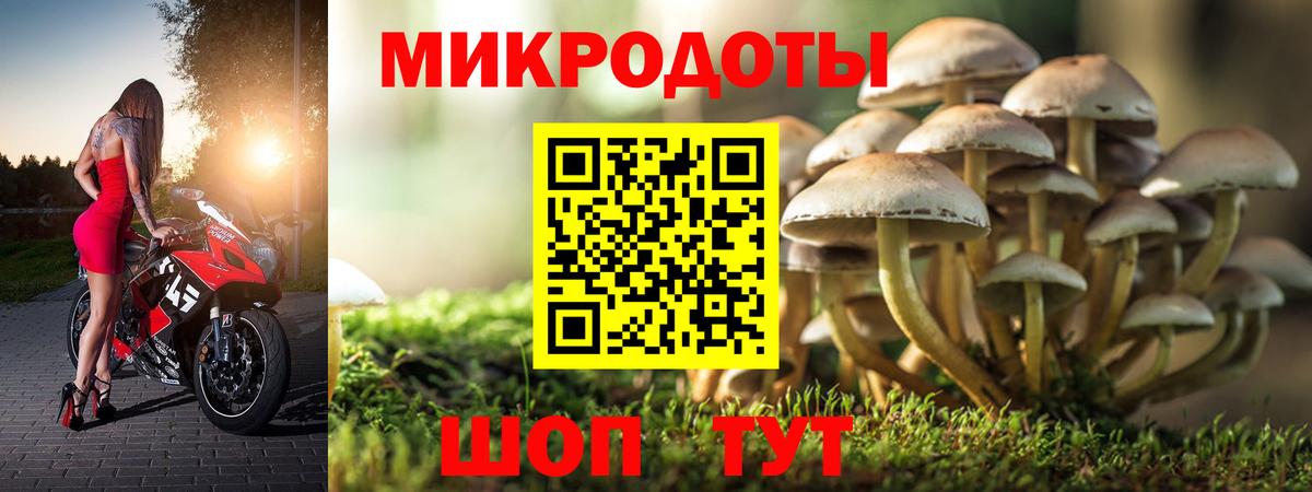 Галлюциногенные грибы Psilocybine cubensis Рассказово